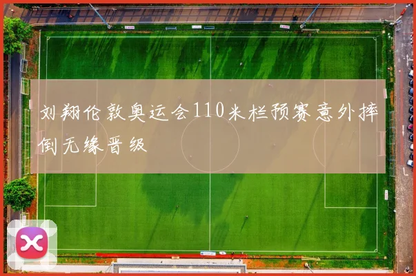 刘翔伦敦奥运会110米栏预赛意外摔倒无缘晋级