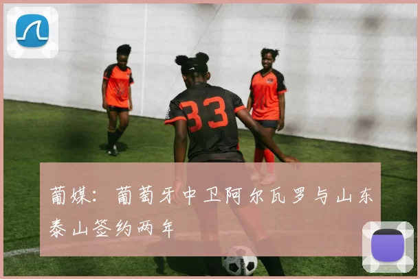 葡媒:葡萄牙中卫阿尔瓦罗与山东泰山签约两年