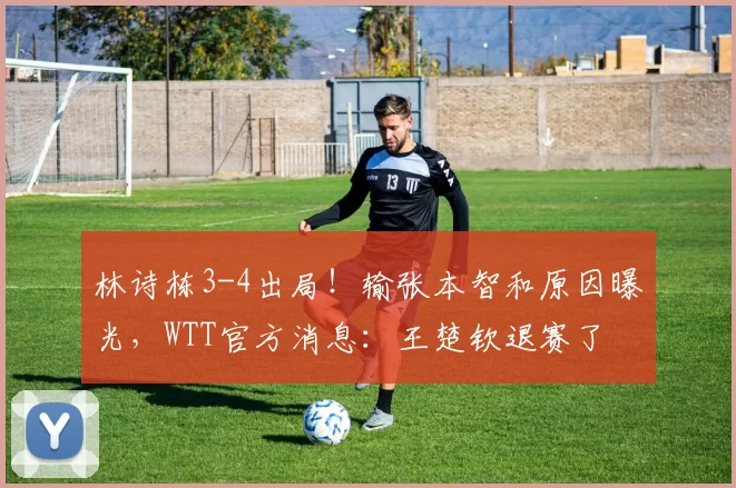 林诗栋3-4出局!输张本智和原因曝光,WTT官方消息:王楚钦退赛了