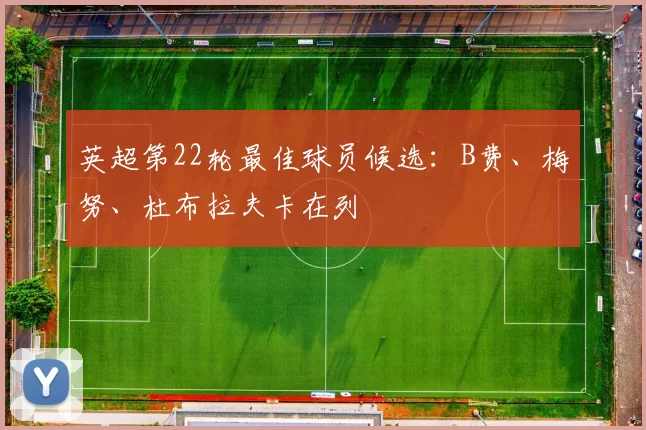 英超第22轮最佳球员候选:B费、梅努、杜布拉夫卡在列