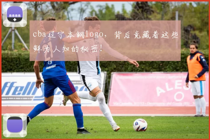 cba辽宁本钢logo,背后竟藏着这些鲜为人知的秘密!