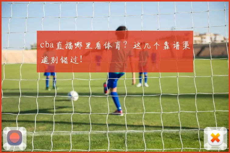 cba直播哪里看体育？这几个靠谱渠道别错过！