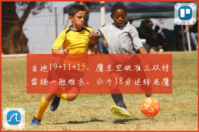 吉迪19+11+15，鹰王空砍准三双特雷杨一胜难求，公牛18分逆转老鹰