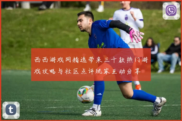 西西游戏网精选带来三十款热门游戏攻略与社区点评玩家互动分享